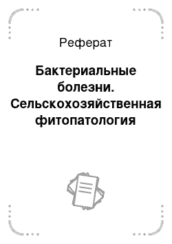 Реферат: Бактериальные болезни. Сельскохозяйственная фитопатология