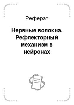 Реферат: Нервные волокна. Рефлекторный механизм в нейронах