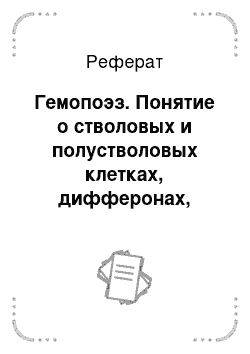 Реферат: Гемопоэз. Понятие о стволовых и полустволовых клетках, дифферонах, особенности их эмбрионального и постэмбрионального развития