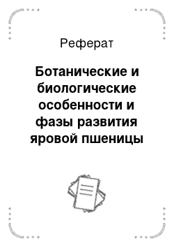 Реферат: Ботанические и биологические особенности и фазы развития яровой пшеницы