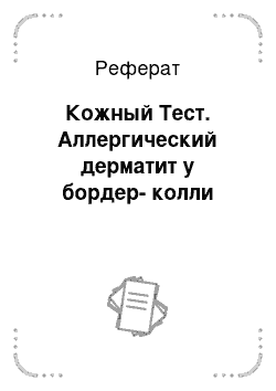 Реферат: Кожный Тест. Аллергический дерматит у бордер-колли