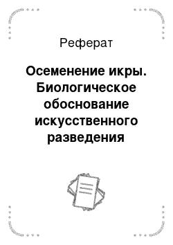 Реферат: Осеменение икры. Биологическое обоснование искусственного разведения севрюги в притоках р. Кубань