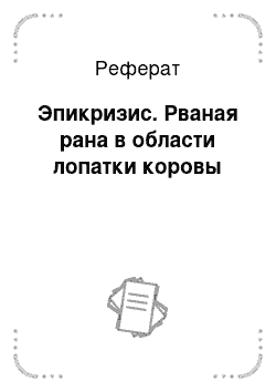 Реферат: Эпикризис. Рваная рана в области лопатки коровы