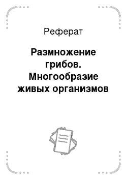 Реферат: Размножение грибов. Многообразие живых организмов