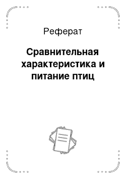 Реферат: Сравнительная характеристика и питание птиц