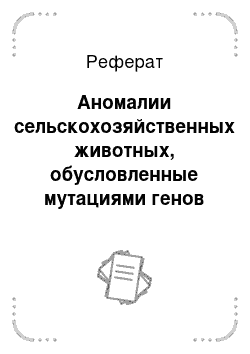 Реферат: Аномалии сельскохозяйственных животных, обусловленные мутациями генов