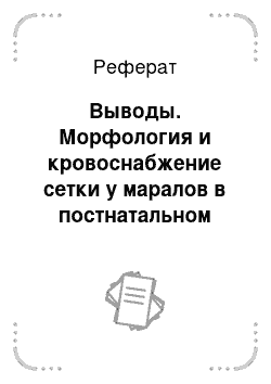 Реферат: Выводы. Морфология и кровоснабжение сетки у маралов в постнатальном онтогенезе