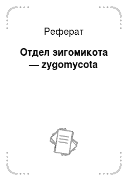 Реферат: Отдел зигомикота — zygomycota