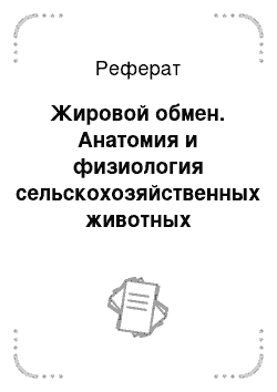 Реферат: Жировой обмен. Анатомия и физиология сельскохозяйственных животных