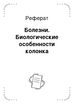 Реферат: Болезни. Биологические особенности колонка