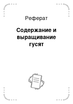 Реферат: Содержание и выращивание гусят